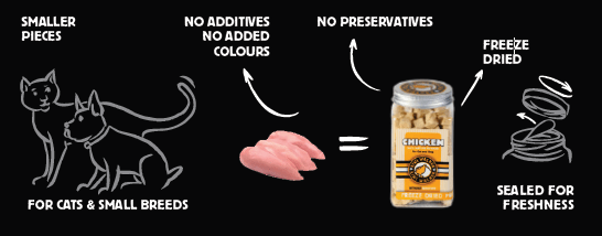 Snack Kiwi Pollo, Calabaza y Espinacas – para perros y gatos - Imagen 2