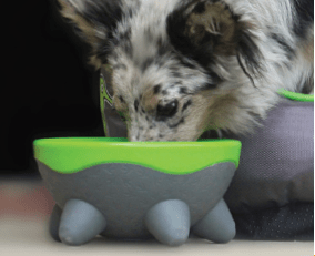 Kiwi Ufo Bowl para perro - Imagen 2